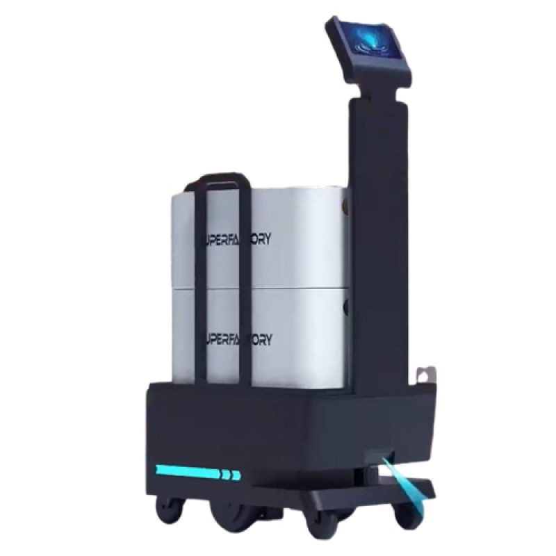 Bigdog Service Robot