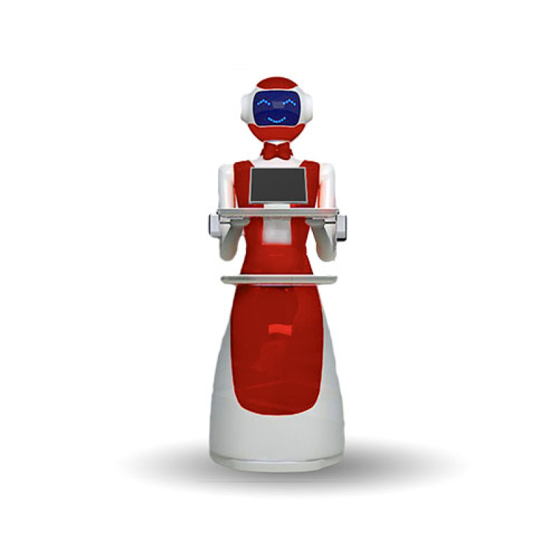 LeLe Service Robot