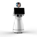 YinYin Service Robot