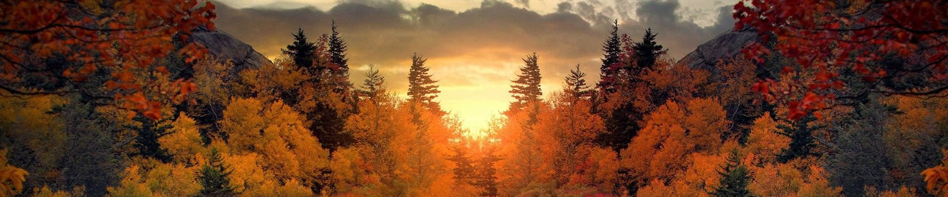 title_69defb2e0815517696127861776220974